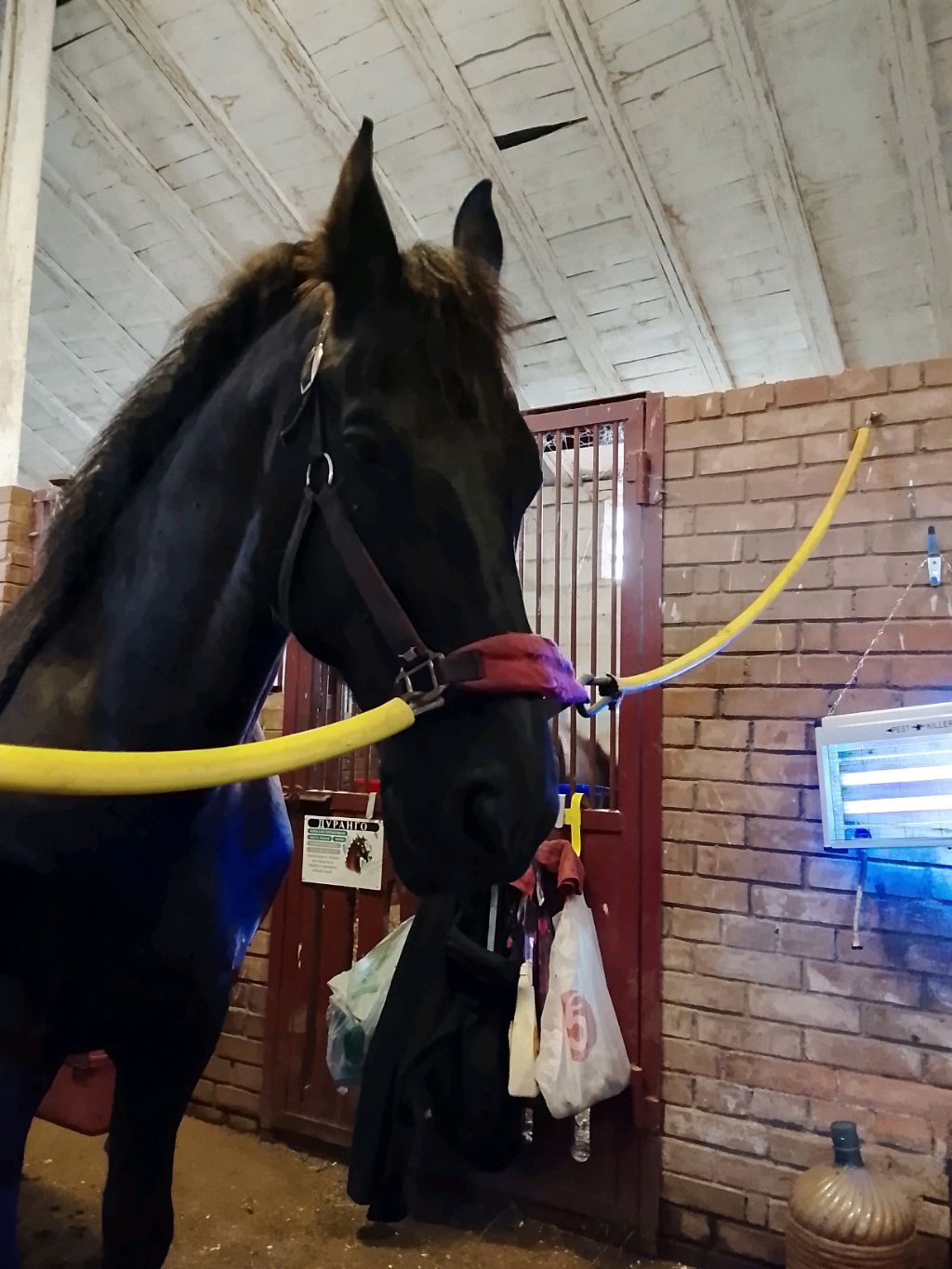 будем что то делать смотреть онлайн