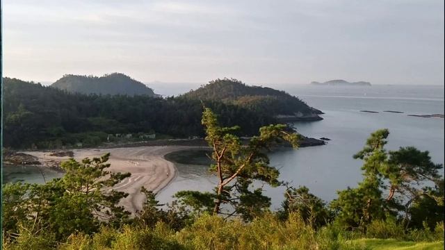 Кто живёт и что растёт в Азии