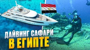 Дайвинг сафари в Египте