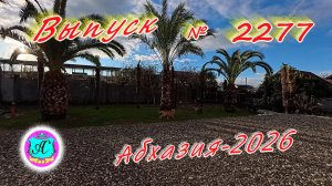 #Абхазия2026🌴 15.01.26г.🔥 Выпуск № 2277❗вчера +8°🌡ночью +2°🌡море +10,9°🐬