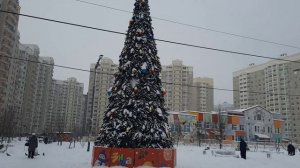 Парашютики