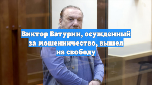 Виктор Батурин, осужденный за мошенничество, вышел на свободу