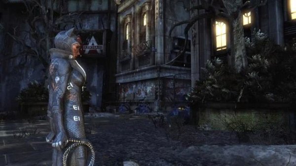Batman Arkham City - Game of the Year Edition - Сокровища И Трофеи Женщины - Кошки