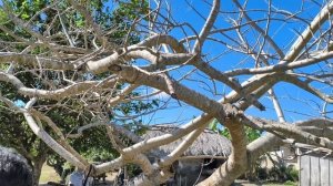 Приехали на другую ферму.... 14.01.26.