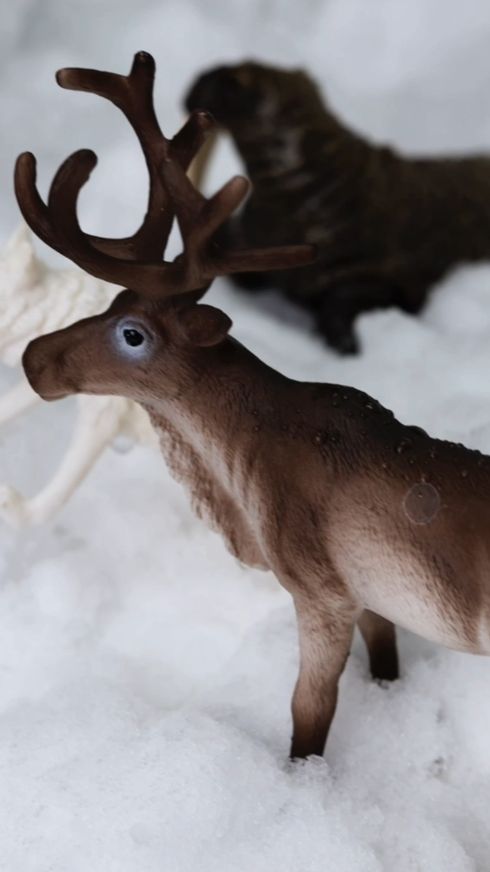 Набор фигурок животные