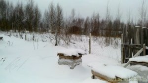 Пасека на старый Новый Год.