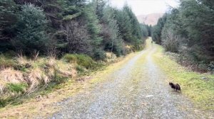 290. Он никогда меня не слушает, готовим чебуреки и рассказываю обо всем на прогулке.