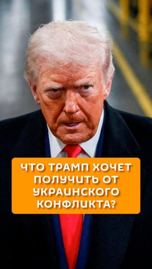 Что Трамп хочет получить от украинского конфликта?