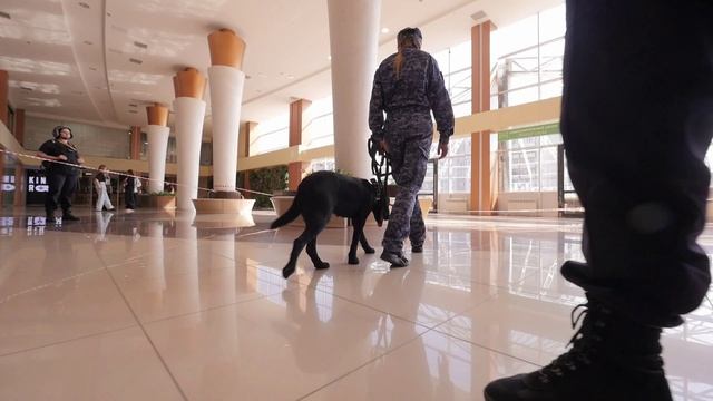 Противодействие терроризму. смотреть онлайн