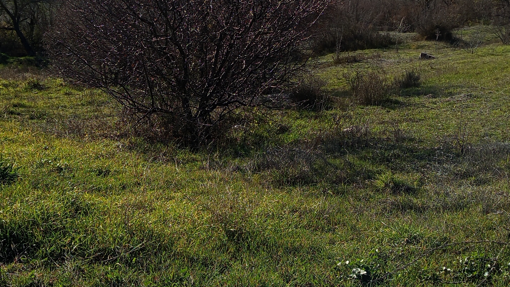 экшен смотреть онлайн