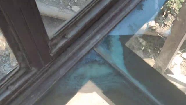 Наблюдаем за медведем через стеклянный пол смотреть онлайн