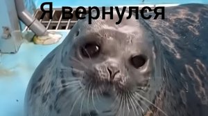 я вернулся, и мы обозреваем игру cgsaken