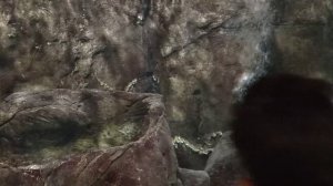 4 Каникулы в Москве - Москвариум 2025