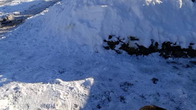 Малыш смотреть онлайн