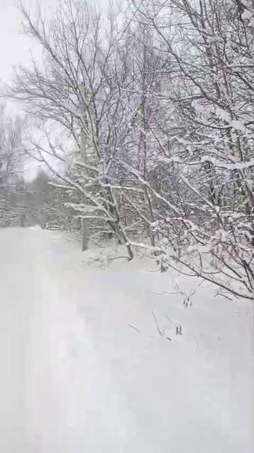 Сказка в Варских 2026