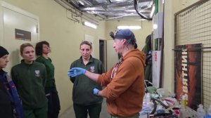 С новосельем, Басур и Саяна