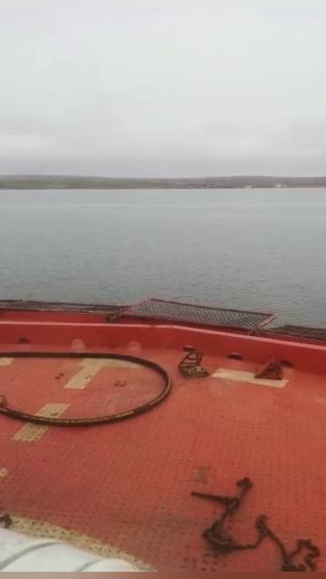 Любовь к труду