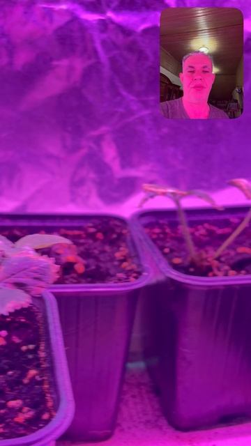 1 серия: Начало