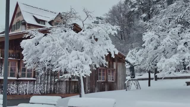 Сильный снегопад в Цюрихе, Швейцария❄️☃️🎄 смотреть онлайн