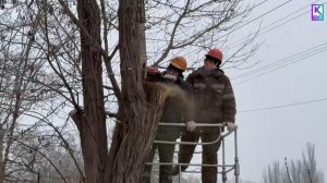 На Льва Толстого провели обрезку деревьев