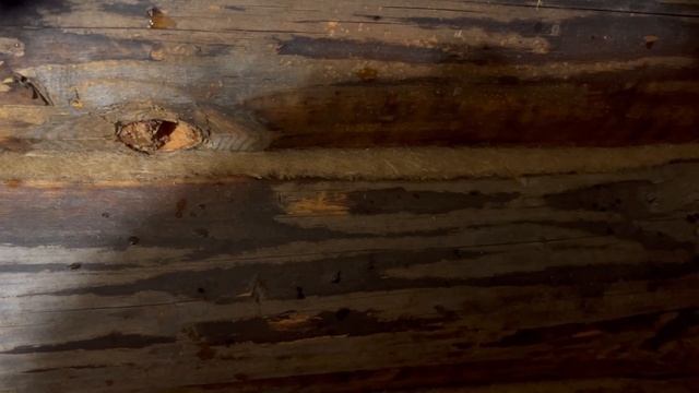 АСМР В РУССКОЙ БАНЬКЕ ️ ПОПАРЮ ТЕБЯ /  ASMR