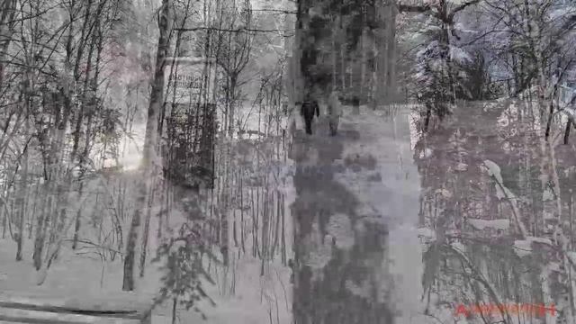 Вдохновляющая Семибратка