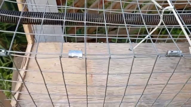 Крысоловка своими руками, результат в конце.