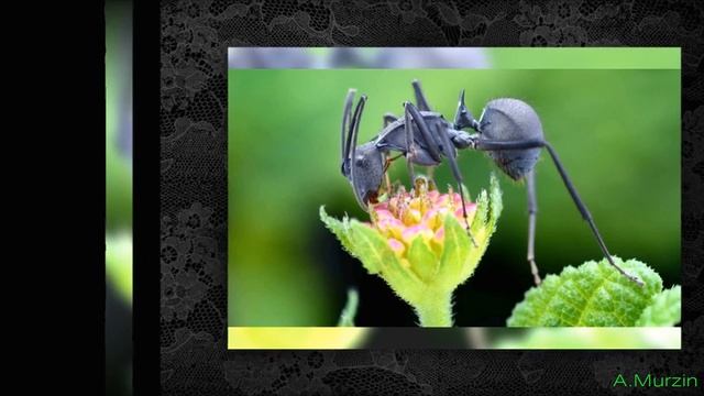 Юрий Бунтов - Начало смотреть онлайн