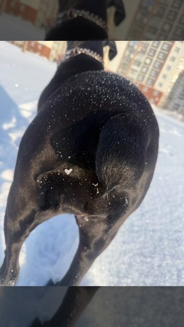 Неожиданно и мило🫶Даже ❄️любят мою корсочку