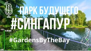 Видео для бега на беговой дорожке с окружающими звуками| Виртуальный бег #Singapore #GardensByTheBay