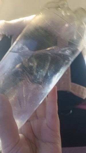 2ч. вода в бутылке-лед😅 в описание!