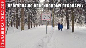 2026 г. Балашиха. Зимняя прогулка по Ольгинскому лесопарку.