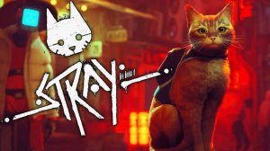полное прохождение Stray