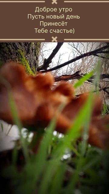 Хорошего дня)