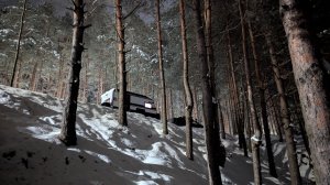 Новогодний 2026 год