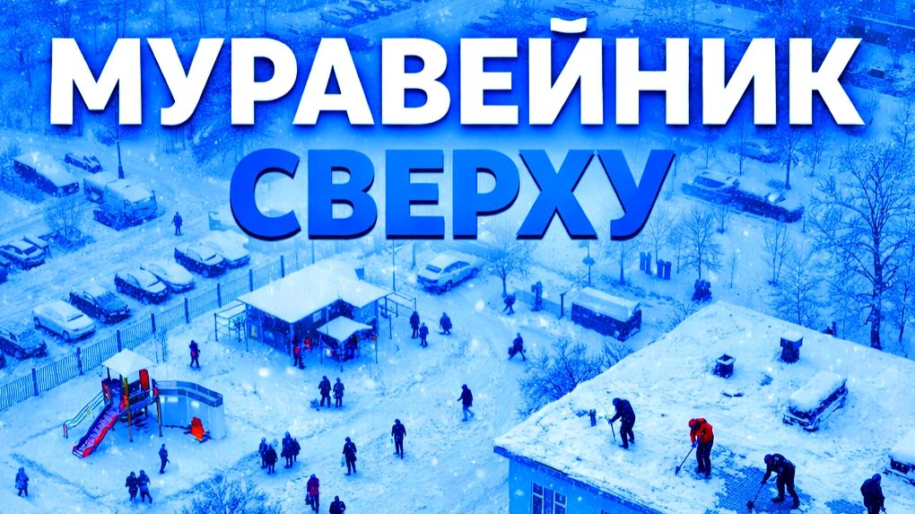 🎥❄️👷ВЫСОТНЫЙ НАБЛЮДАТЕЛЬ: ЧТО ДЕЛАЮТ МОСКВИЧИ В СНЕЖНУЮ СУББОТУ? МОСКВА. 11 ЯНВАРЯ 2026 ГОДА. смотреть онлайн