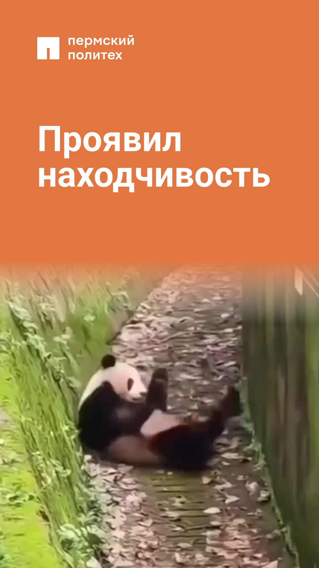 Понял требование преподавателя буквально смотреть онлайн