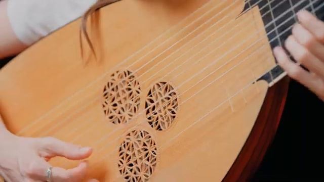 Robert de Visée - La Plainte ou Tombeau de Mesdemoiselles de Visée смотреть онлайн