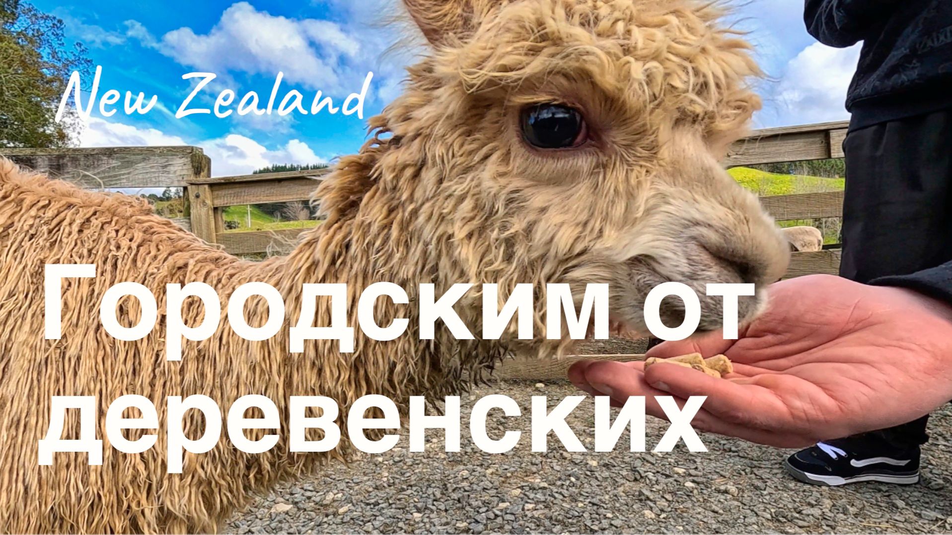 A City Girl/Boy’s Guide To The Farm. The 4K Farmyard.