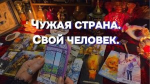 💕Любовь без границ ✨мужчина по судьбе будущий муж таро расклад онлайн гадание