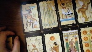 Свинью на органы? И людям по полису ОМС?!