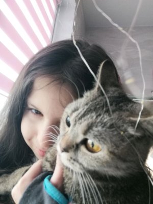 мои истории