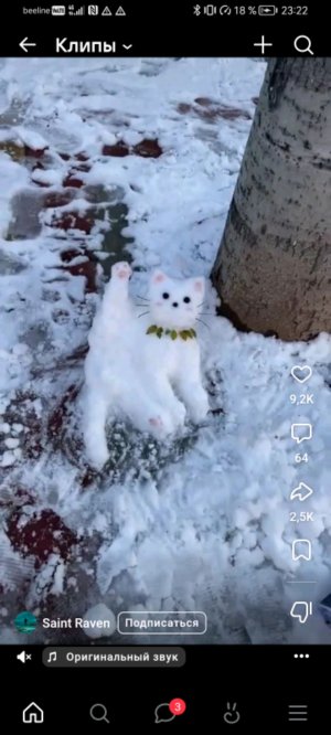 красимся🎀