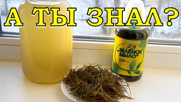 Как сделать УДОБРЕНИЕ из НОВОГОДНЕЙ ЕЛКИ?🌲🌲🌲