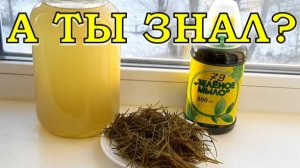 Как сделать УДОБРЕНИЕ из НОВОГОДНЕЙ ЕЛКИ?🌲🌲🌲