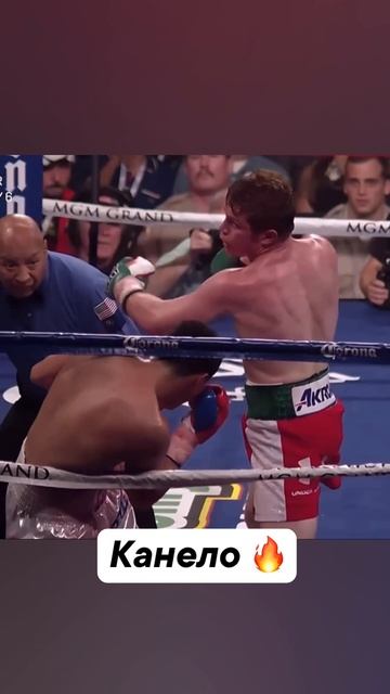 Все любят Канело смотреть онлайн