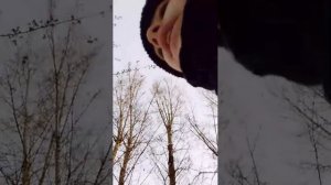 Коллаб я и ден2014