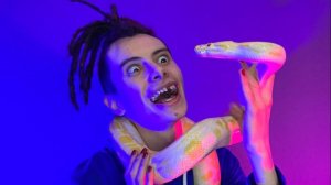 Смотрим канал #lilsnakeeee из Ми видео.📽️