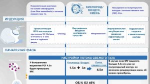 Низкопоточная анестезия на основе севофлурана