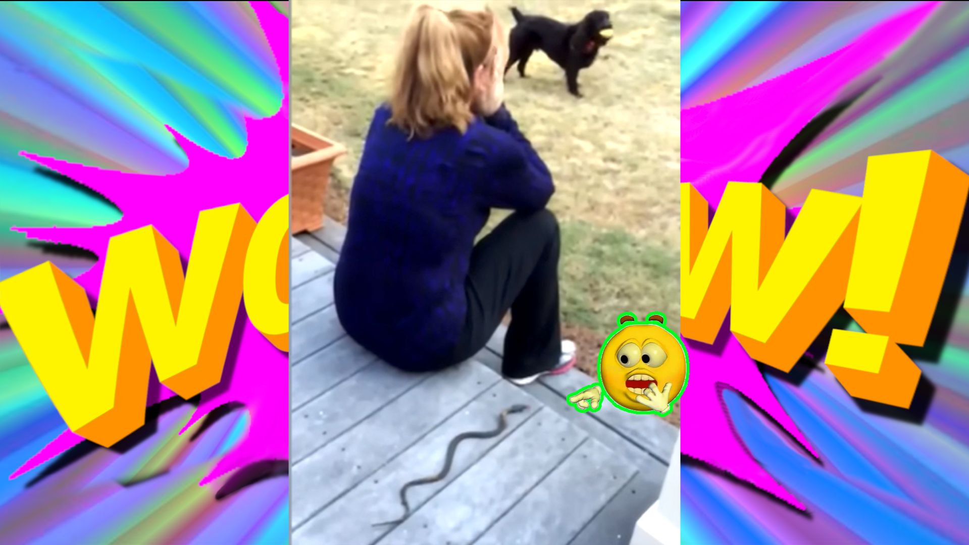 СМЕХ ДО СЛЕЗ: СМЕШНЫЕ ВИДЕО И ПРИКОЛЫ смотреть онлайн